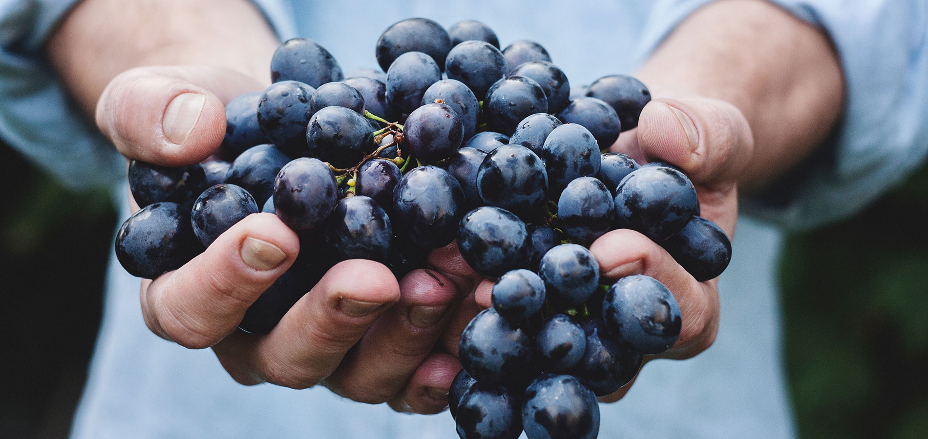 header-bunchofgrapes