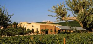 Donnafugata