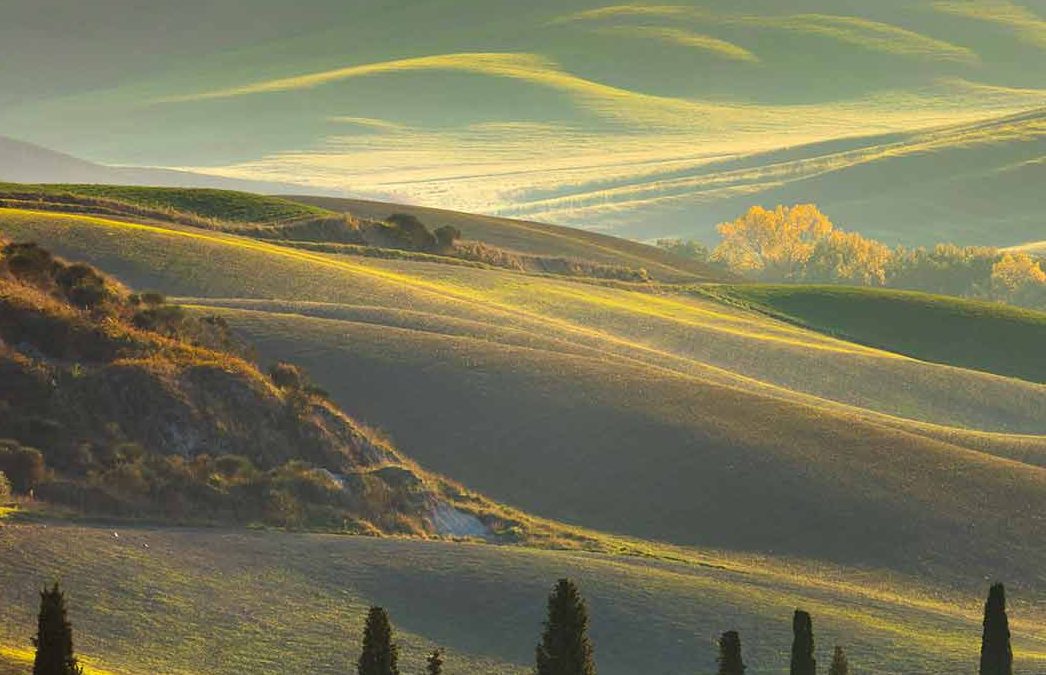 Le Chiantigiane – Oro dei Sani
