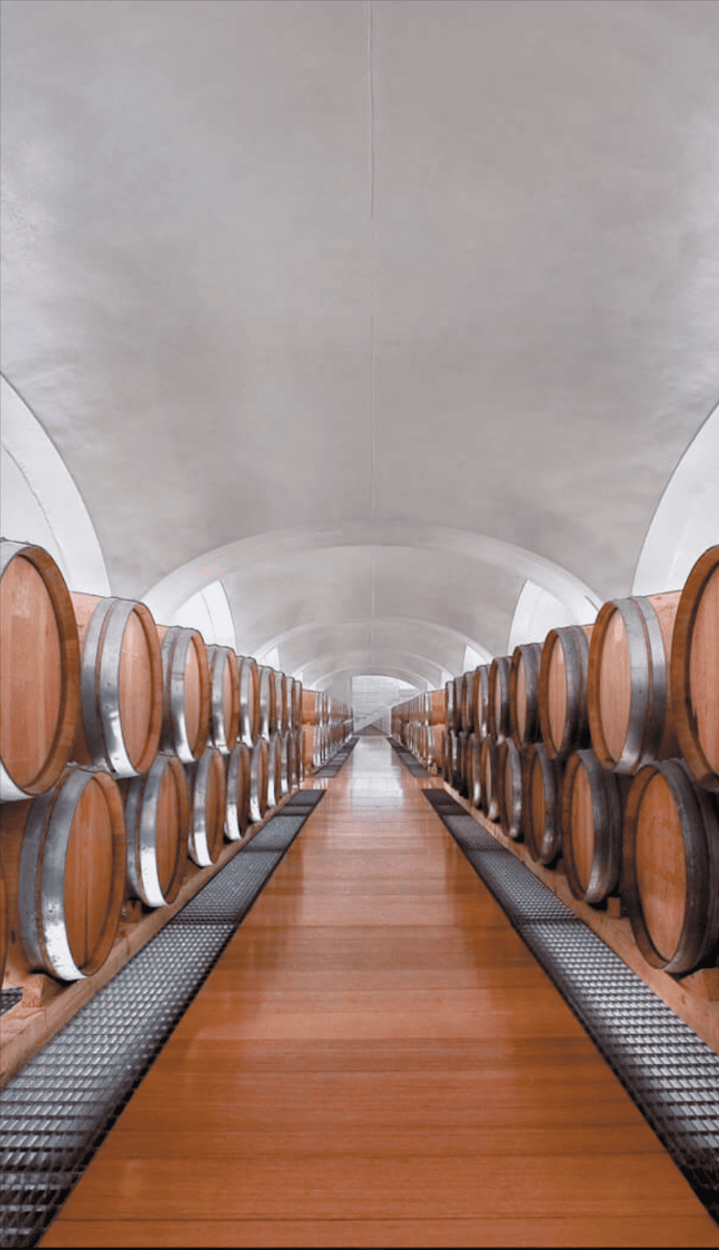 Feudi di San Gregorio Producer – Vinotria