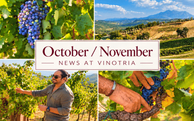 Discover Campania the Vinotria way.